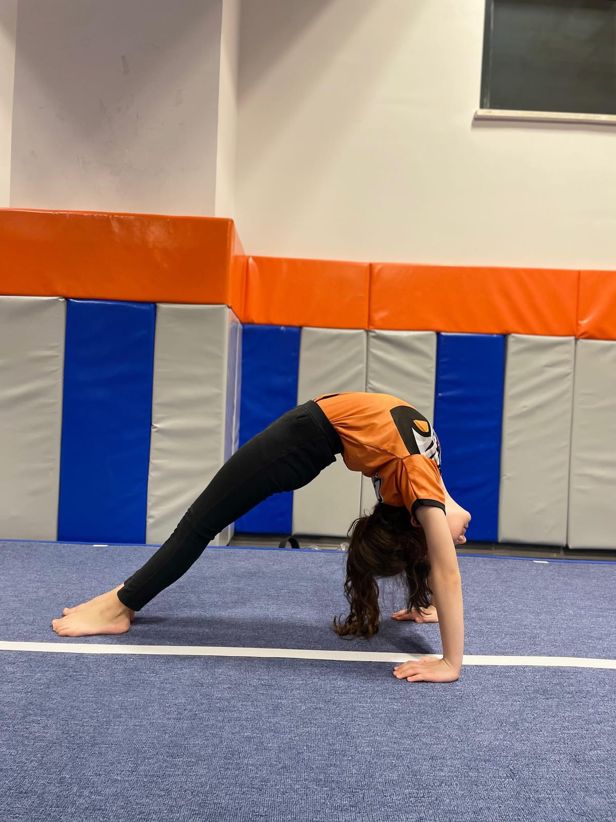 DPÜ Jimnastik Köprü